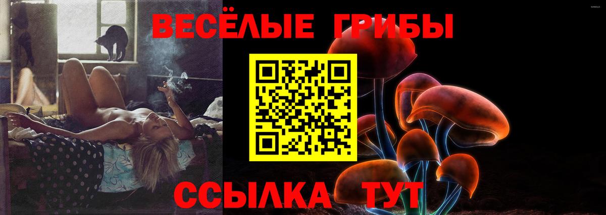 Малгобек  Галлюциногенные грибы мицелий  Вход с VPN 